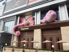 -帕帕拉兹宠物(亚洲旗舰店)