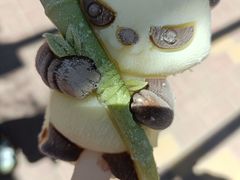 -青藏高原野生动物园