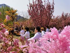 -长白岛森林公园