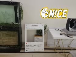 -VE专注问题肌·赛诺龙&科学美肤中心