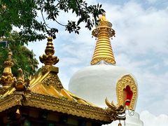 -护国法轮寺