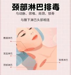-YESIDO椰岛美容