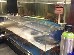 -馬車會海鮮酒樓