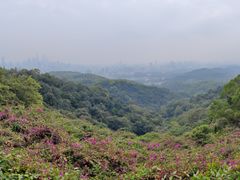 -广州市白云山风景名胜区