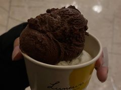 -LUNEURS月乐诗·法式冰淇淋(环贸店)