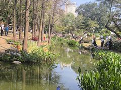 -人民公园(罗湖区)