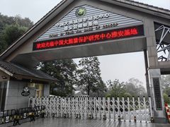 -中国大熊猫保护研究中心雅安碧峰峡基地