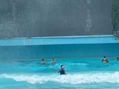 -亚马逊丛林水乐园