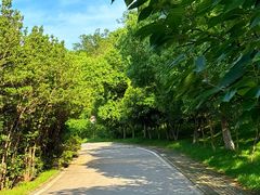 -南京市江宁方山