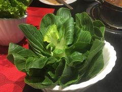 -食鲜捞火锅(湖西路店)