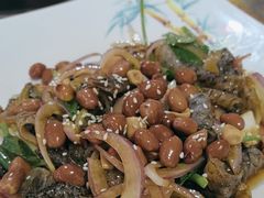 -石岐乳鸽村(南海第三分店)
