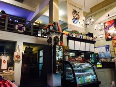 -猫咪博物馆(顶澳仔猫街店)