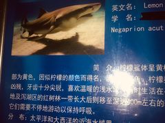 -北戴河圣蓝海洋公园