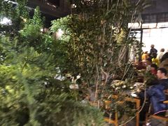-海韵人家.海景花园经典云南菜(双廊店)