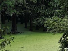 -青山湖景区