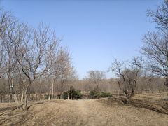 -云岗森林公园