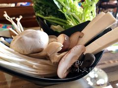 -丽江庭院之丽江往事(安定门店)