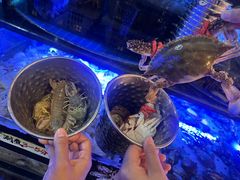 -福禧荟·海鲜自助