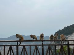 -重庆云阳龙缸景区