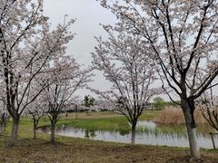 -阳澄湖半岛旅游度假区