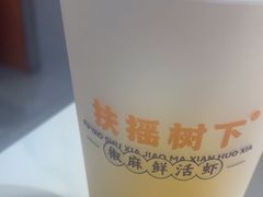 -扶摇树下·椒麻鲜活虾(石家庄勒泰广场店)