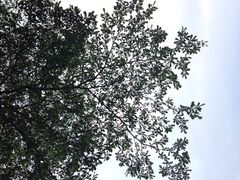 iphone_upload_pic-深圳少年儿童图书馆