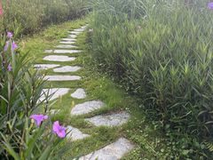 -那考河湿地公园