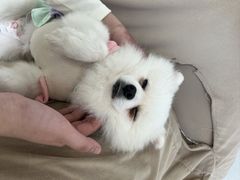 -怪兽屋·羊驼·猫咖·狗咖(俊华广场店)