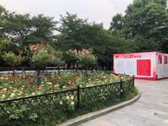 -堤角公园