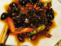 -红辣椒·川菜·火锅(张杨路店)