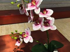 -奈雪的茶(花城汇中区PRO店)