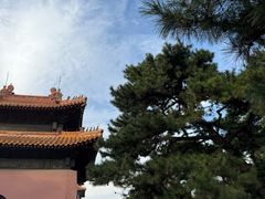 -北陵公园