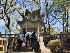 -青龙山公园