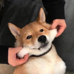 -禾曼造型