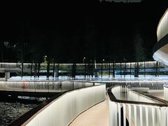 -银湖山郊野公园-相思林