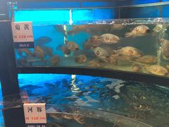 -莆鑫海鲜城(浏河店)