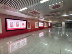 -循礼门鲜花花市(武汉循礼门店)