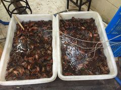 -龙虾奇迹(大华三路店)