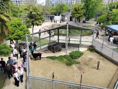 -水绘园
