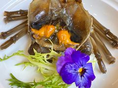 -王宝和酒家(黄浦店)