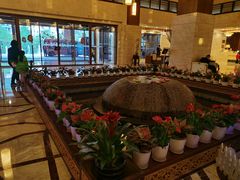 -宜春明月山维景国际温泉度假酒店