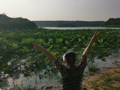 -丁香湖公园