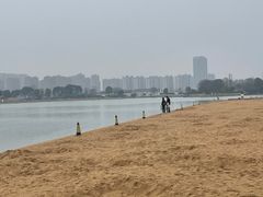 -金沙湖公园