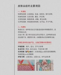 -玛莲朵·海菲秀冰珀科