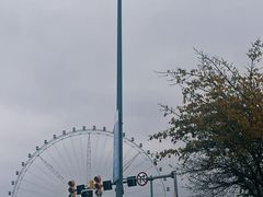 -金海湾滨江公园