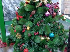 -EATALIA意塔利意式餐厅(鼓楼店)