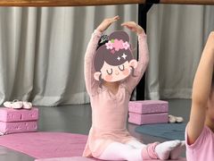 -中央芭蕾舞团·中芭艺蕾(酒仙桥明星校区)