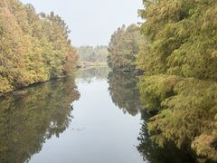 -上海海湾国家森林公园