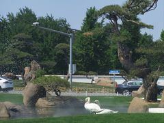 -罗红摄影艺术馆