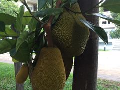 -吐斯廉屠杀博物馆